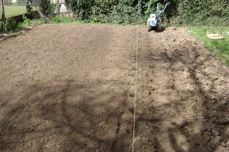 Butoir et plantation de patates ? Dsc01625