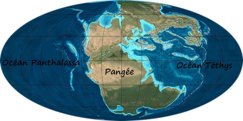 [Océans] Histoire et Caractéristiques Ocaan410