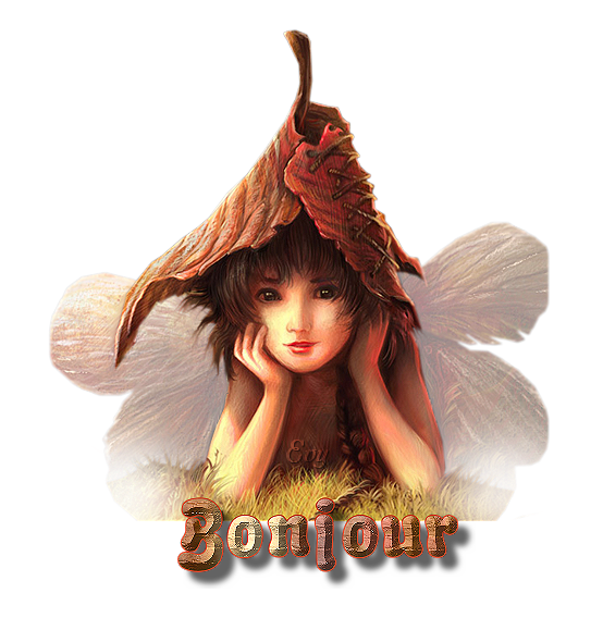 Bonjour, bonsoir..... - Page 3 20110911