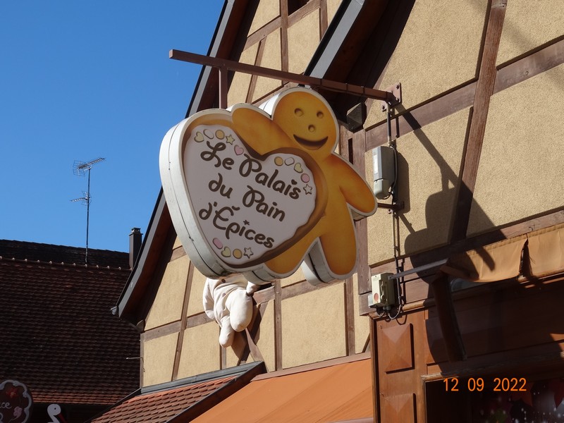 petite balade en Alsace Dsc00946