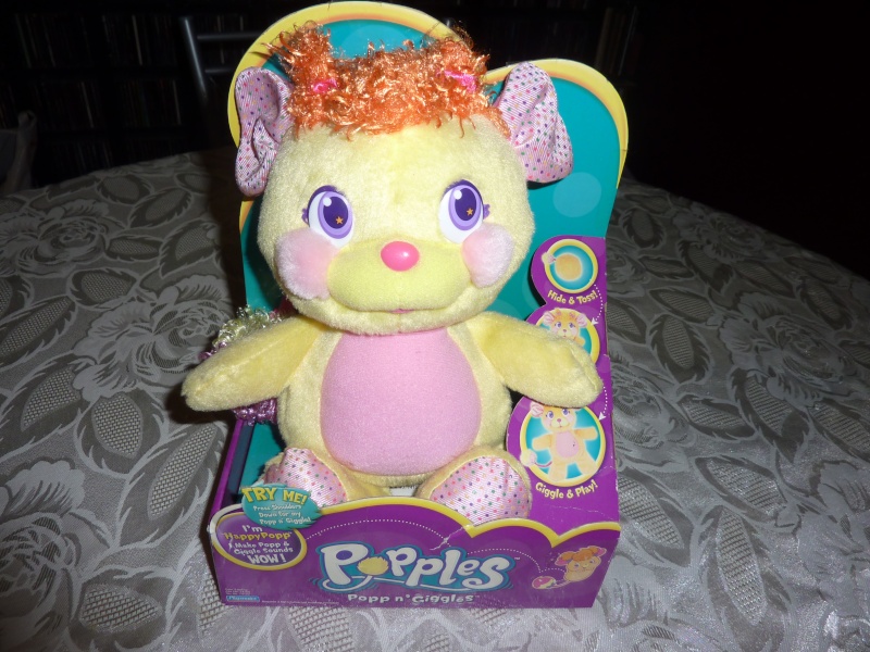 ma petite famille de bisounours et de popples - Page 7 P1100014