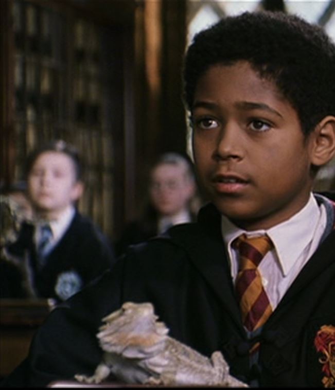 Pogona Vitticeps dans Harry Potter  110