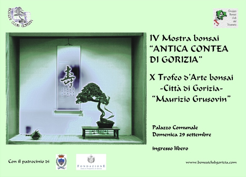 Trofeo d'arte bonsai citta di Gorizia Volant10