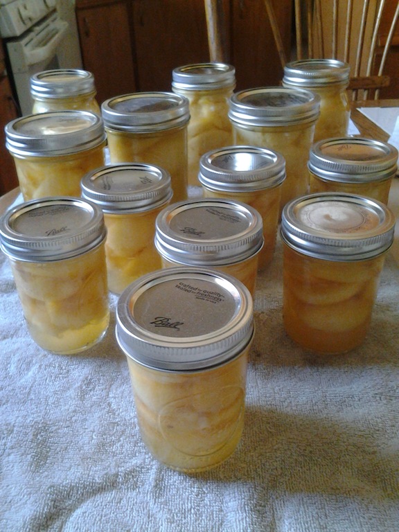 Canning Peaches and Peach Conserve Canned10