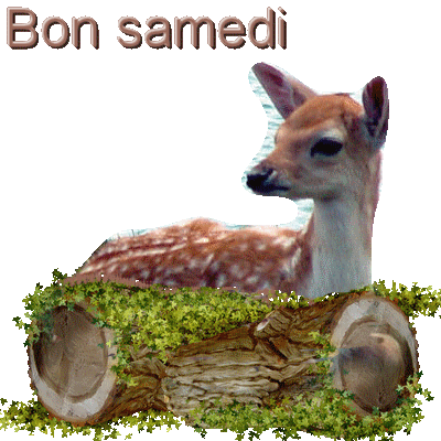 Septembre 2018 - Page 9 Samedi12