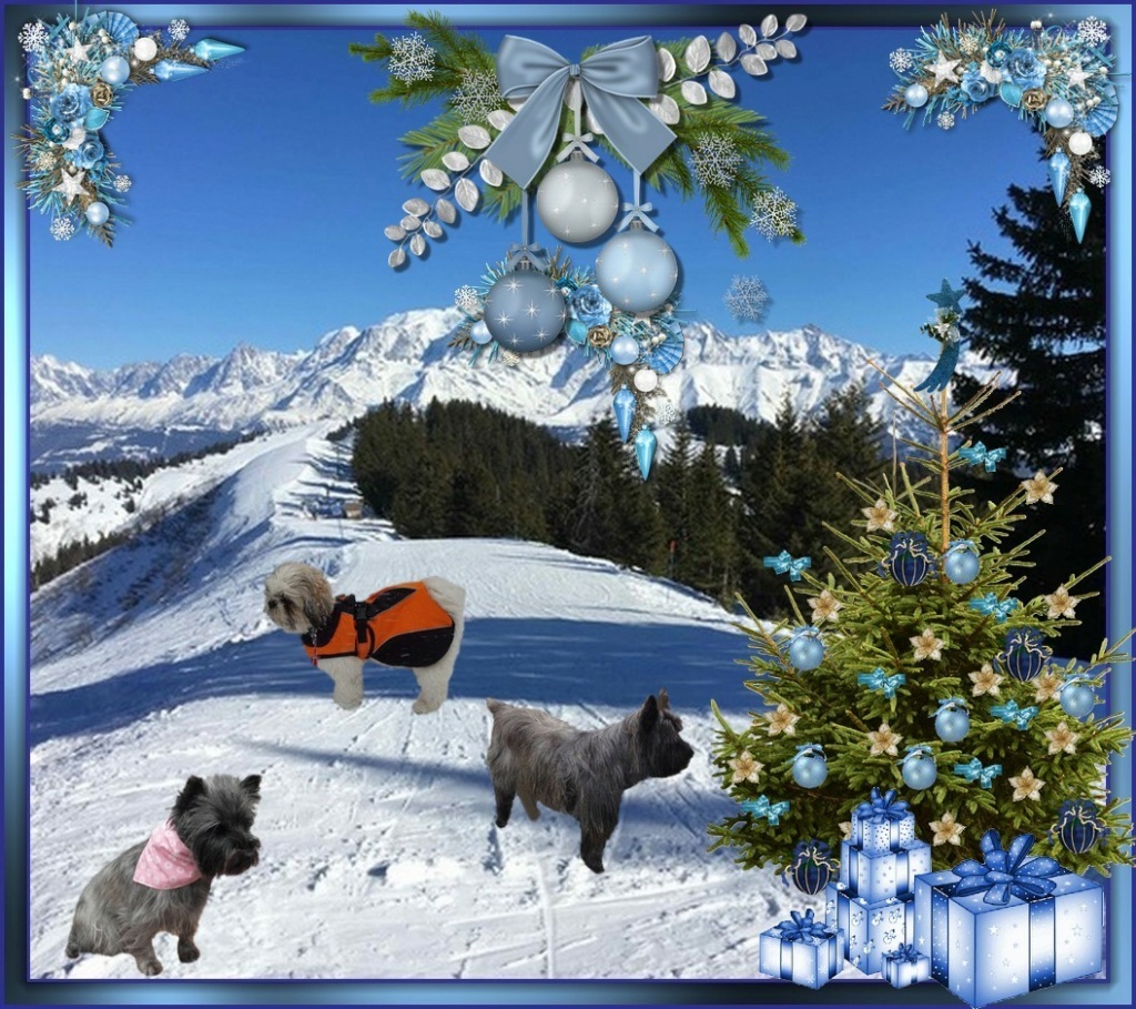 Joyeux Anniversaire Aux 2 Pattes Janvier 17 Joyeux Anniversaire Aux 2 Pattes Janvier 17