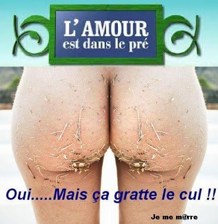 humour en images II - Page 10 11825610