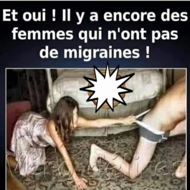 humour en images II 23139910