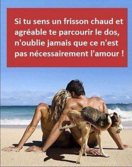 humour en images II - Page 4 24238210