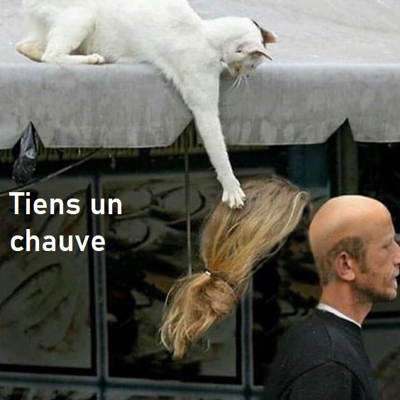 humour en images II - Page 8 264c0b10