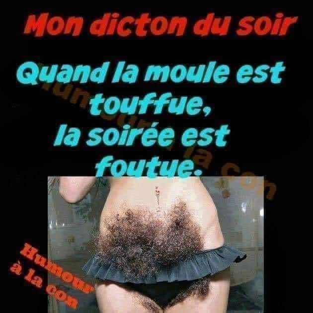 humour en images II - Page 16 27846810