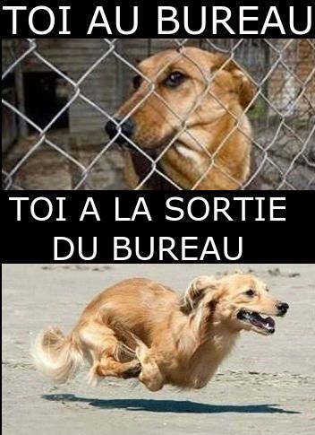 humour en images II - Page 13 2c6ee610