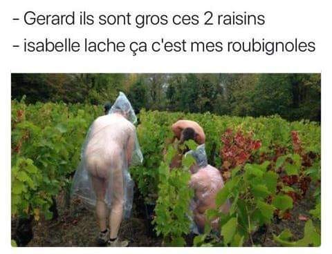 humour en images II - Page 3 31161610