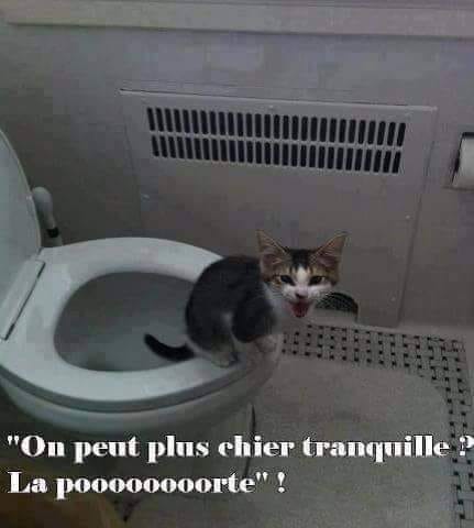 humour en images II - Page 6 31893410