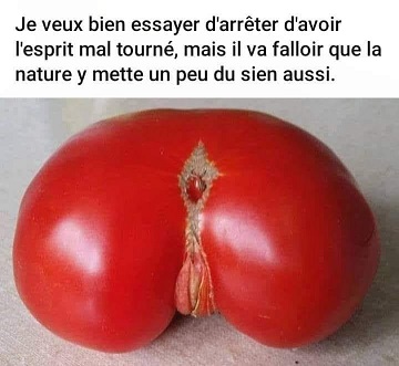 humour en images II - Page 6 35662611