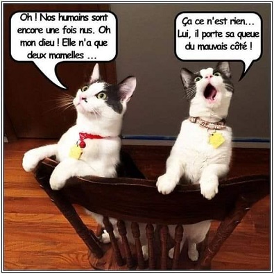 humour en images II 38042210