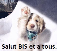 Salut les amis II - Page 6 3b7c0d10