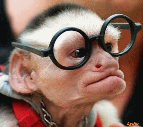 humour en images II - Page 13 43902b10