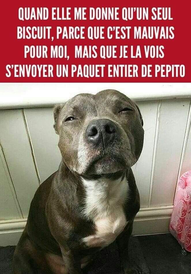 humour en images II - Page 17 46339710