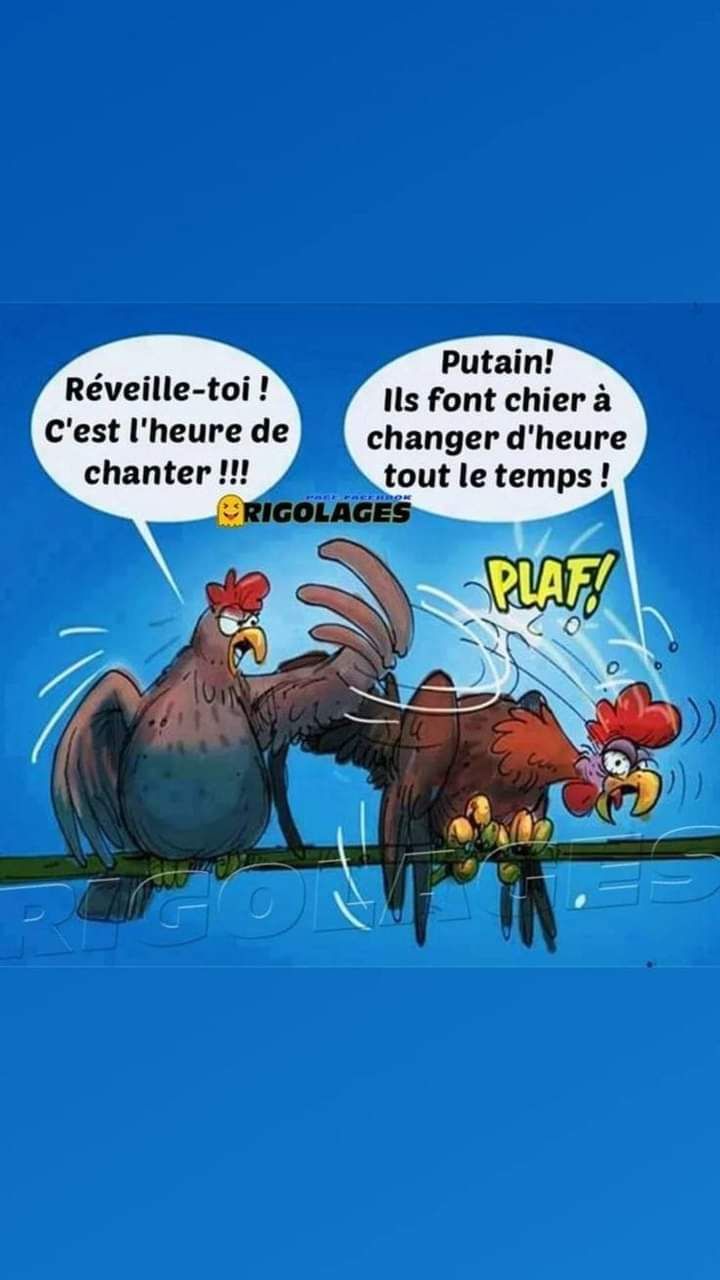 humour en images II - Page 19 46478510