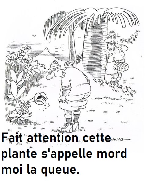 humour en images II - Page 7 48ad5f10
