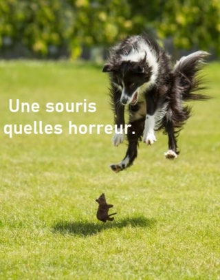 humour en images II 4da96611