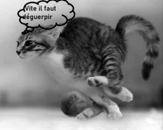 humour en images II - Page 5 5b0d9610