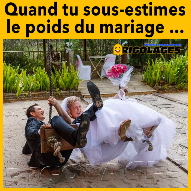 humour en images II - Page 15 5d947710