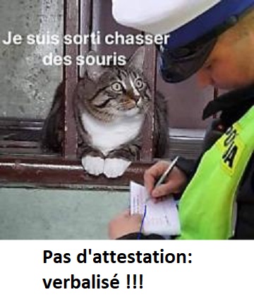 humour en images II - Page 8 5fc34610