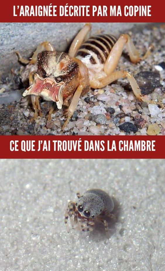 humour en images II - Page 16 6ed6f010