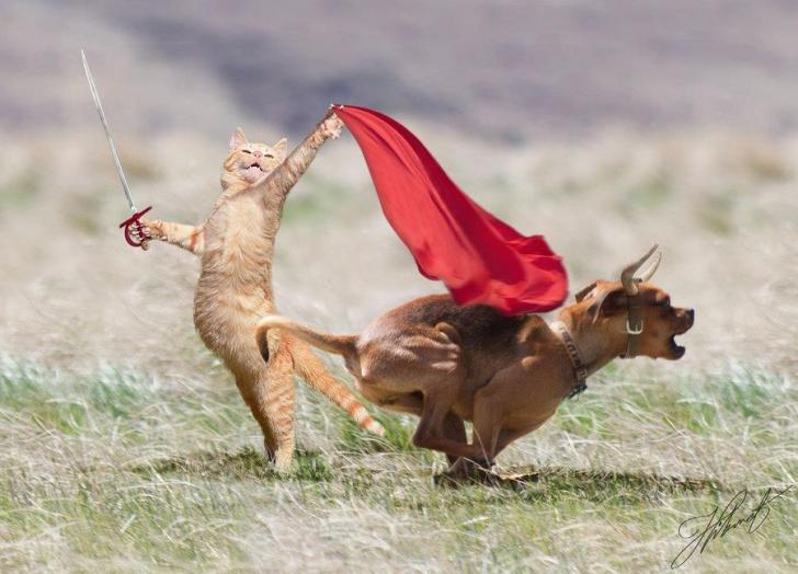 humour en images II - Page 8 728x5211
