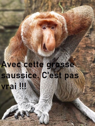 humour en images II - Page 6 75137611