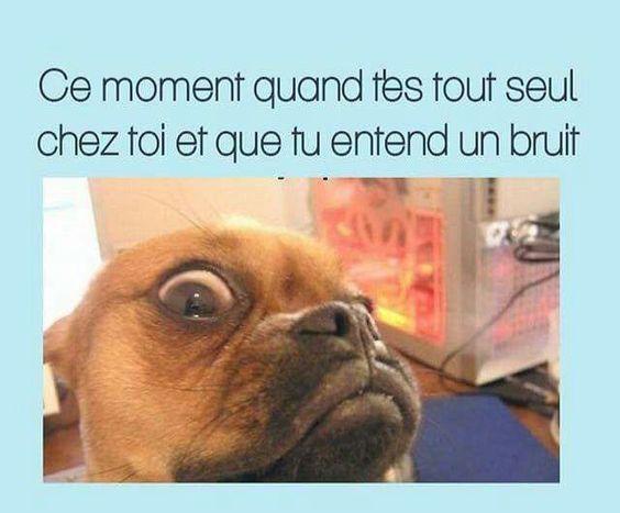 humour en images II - Page 10 8ae99d10