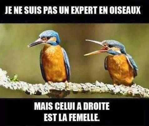 humour en images II - Page 7 95fc6810