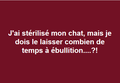 blagues Chat10