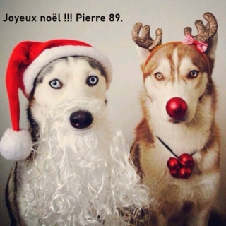 Quelle surprise .... !! Chiens10