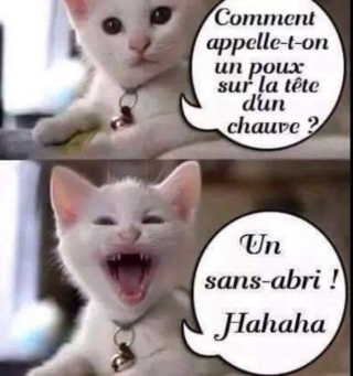 humour en images II - Page 20 D2f39e10