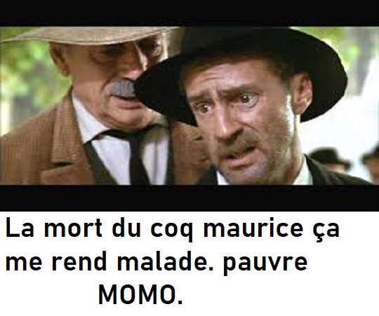 humour en images II - Page 10 Images14