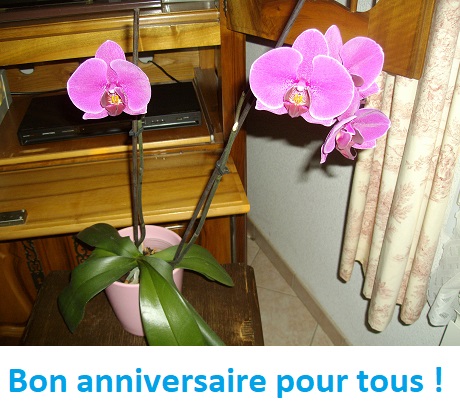 Le 04/05 bon anniv : AGRILAND, Bedier, damien08, fon, herve56, Jeandeb, limousine53, nathaliedupont83, Robertocarlos14, Robust, sym24, tom Imgp2826