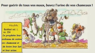 humour en images II - Page 6 Pipich10