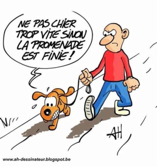 humour en images II - Page 2 Thk60210