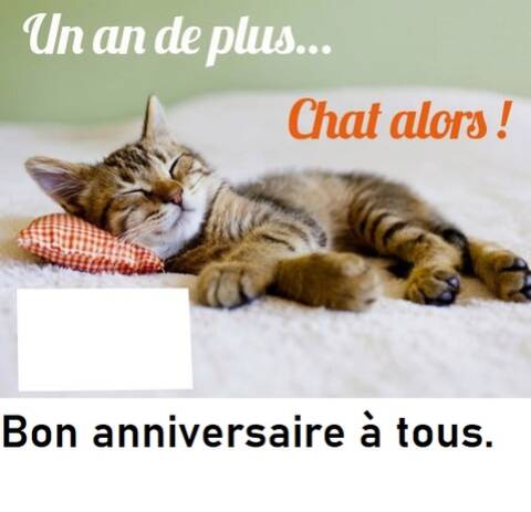 Le 09 07 Bon Anniv Andy Colardelle Bastos17 Bougaud Damienm Draz Ericycool Fh Jean Rene Lesagri67 Marceau39 Petite Fontaine Scoubidou Versys Le 09 07 Bon Anniv Andy Colardelle Bastos17 Bougaud Damienm Draz Ericycool Fh Jean Rene Lesagri67 Marceau39 Petite Fontaine Scoubidou Versys
