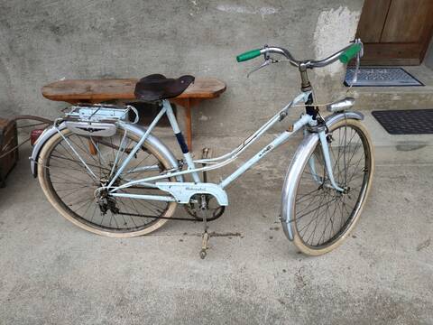 Argus velo vintage new arrivals