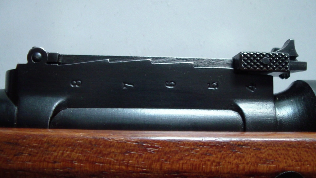 --- Fusil Lebel & évolutions --- H510