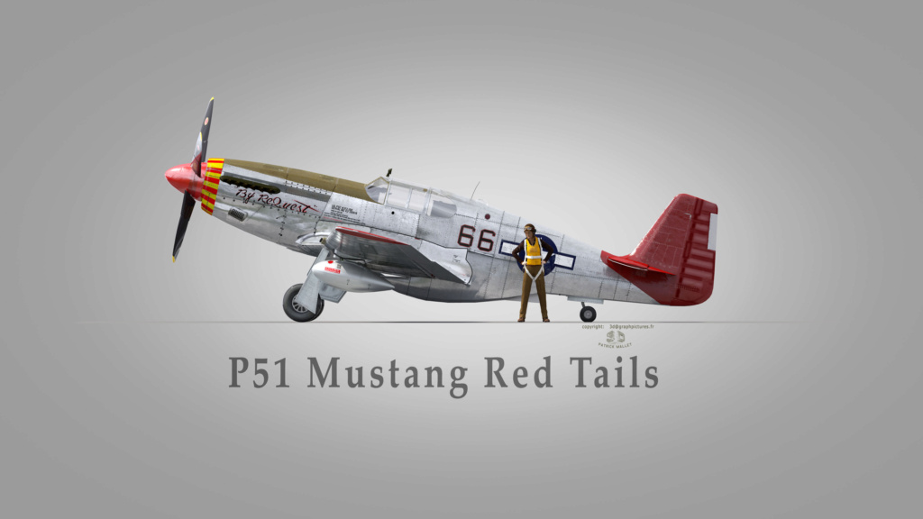mes profils d'avions P_51_b10