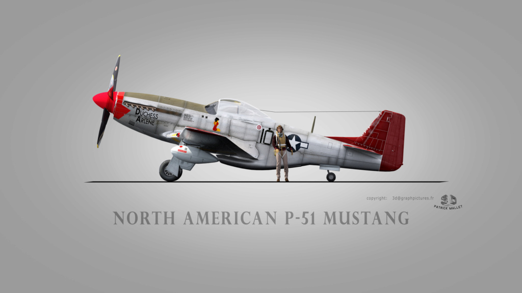 mes profils d'avions P_51du10