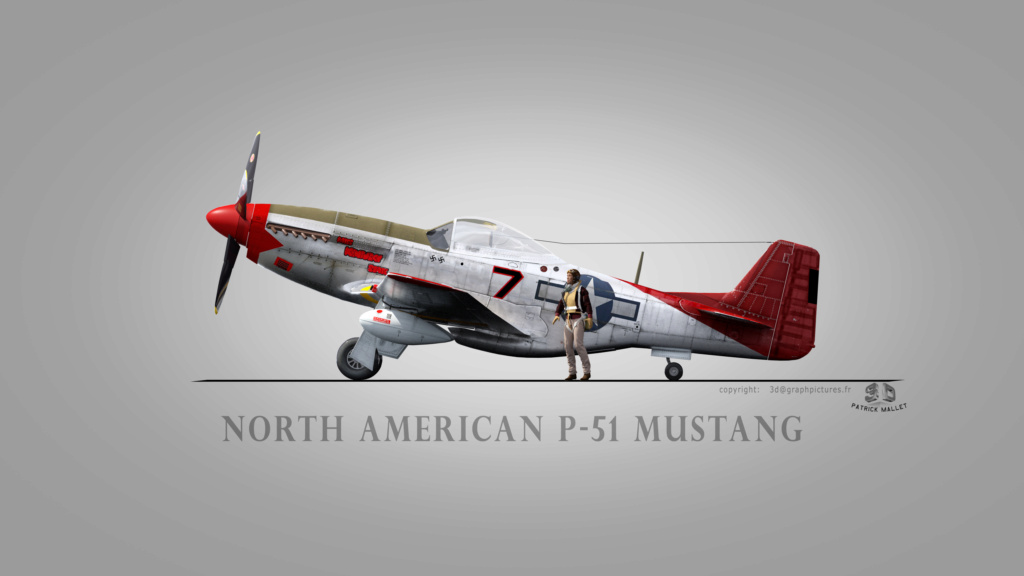 mes profils d'avions P_51mi10