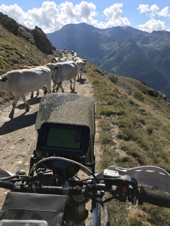 CR: 6 jours offroad entre Auvergne/Vercors/Alpes/Italie Img_2017