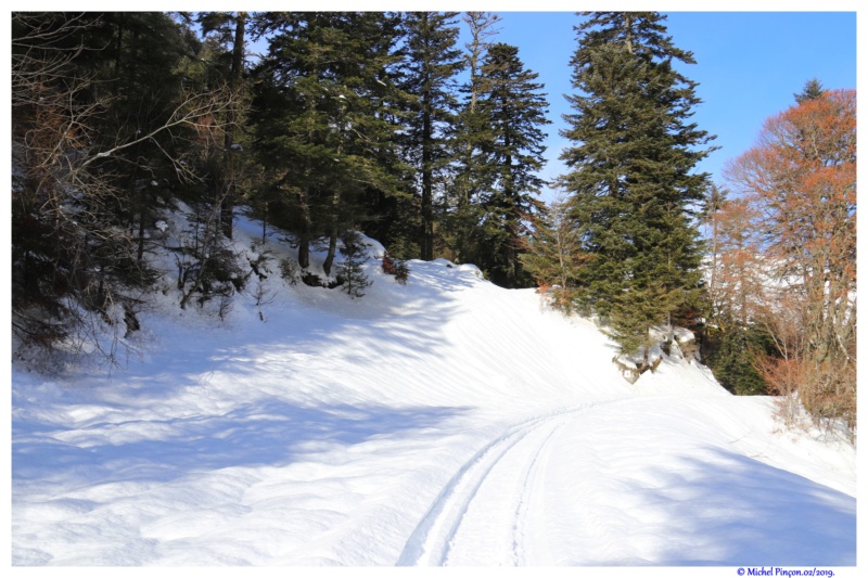 Une semaine à la Neige dans les Htes Pyrénées - Page 8 Dsc02398