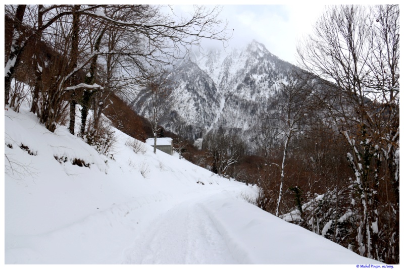 Une semaine à la Neige dans les Htes Pyrénées - Page 9 Dsc02493